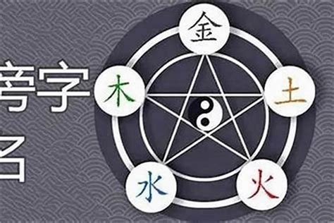 珊 五行|姗字五行属什么